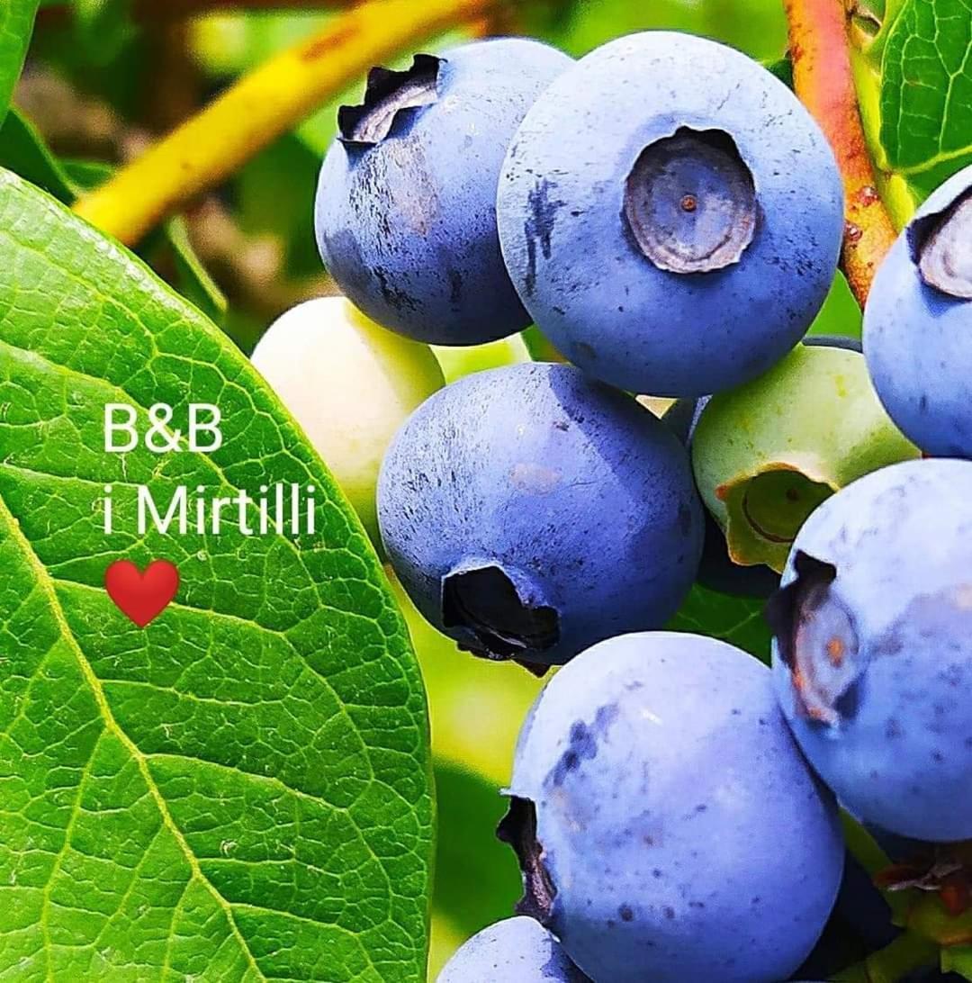 I Mirtilli Pianezze Экстерьер фото